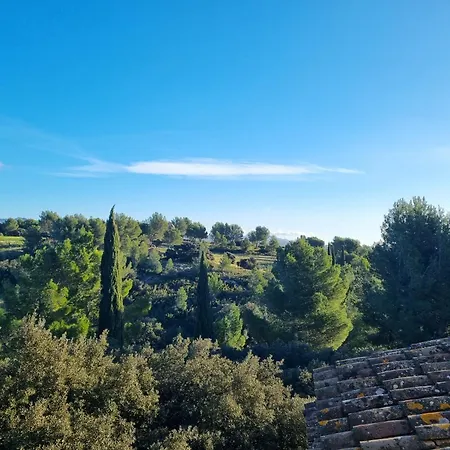 Les Garrigues De La Vallee Des Baux * Paradou