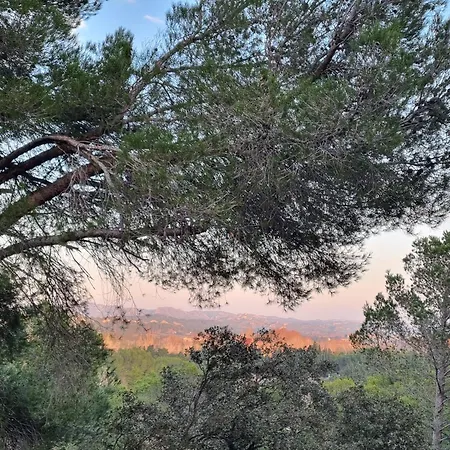 Les Garrigues De La Vallee Des Baux