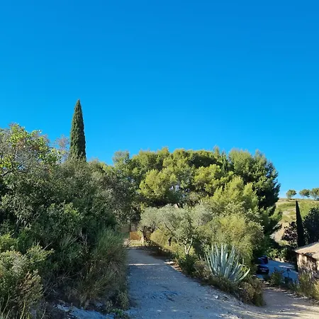 Les Garrigues De La Vallee Des Baux Paradou