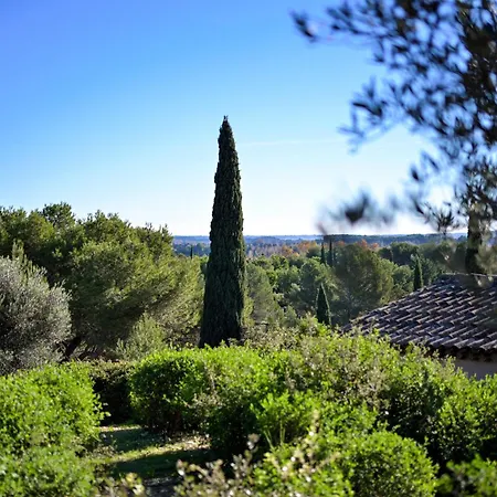 Les Garrigues De La Vallee Des Baux Paradou