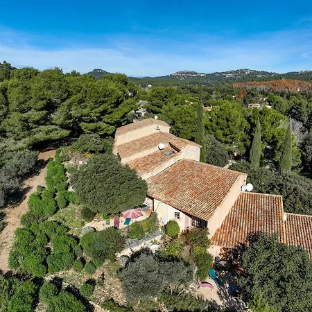 Les Garrigues De La Vallee Des Baux